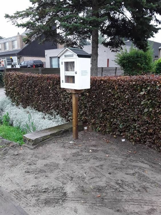 Little Free Library