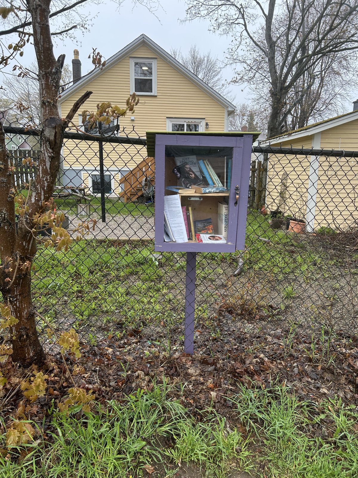 A small purple community book exchange box stands on a post beside a chain-link fence in a residential yard. It has a glass front and is stocked with a few books, with a yellow house and leafless trees in the background.