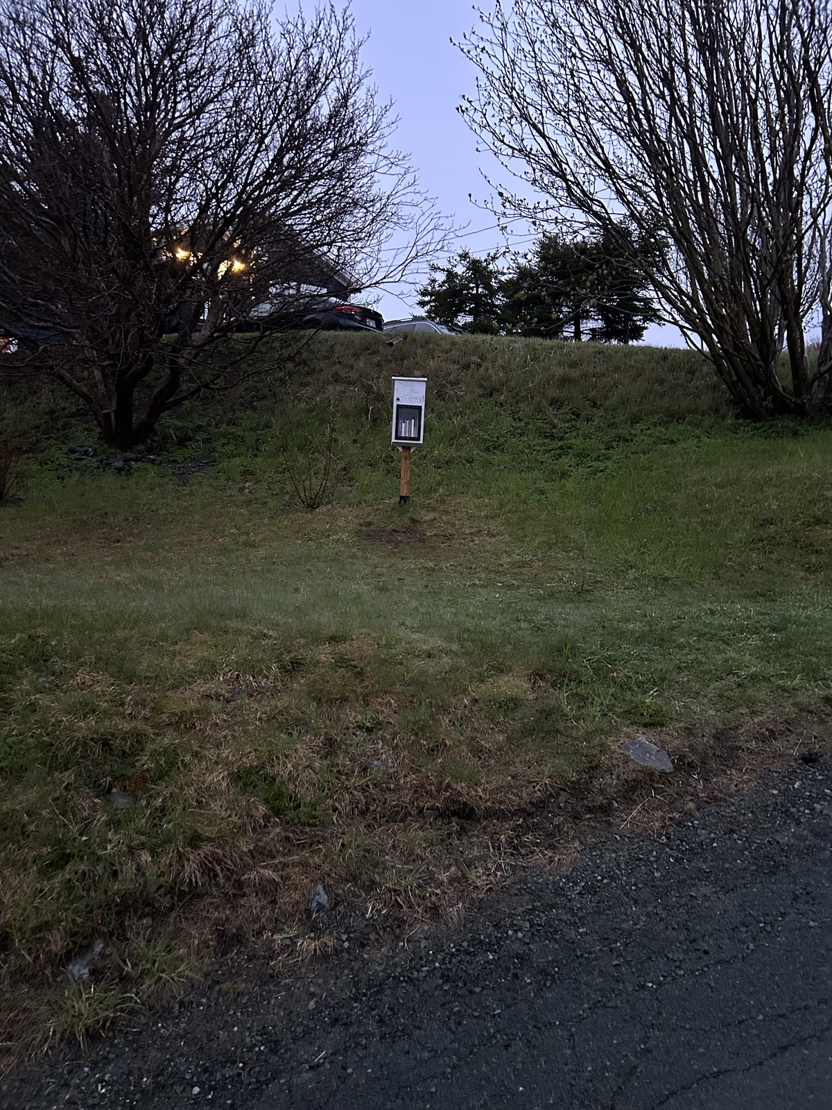 A small white community book exchange box stands on a wooden post beside a grassy roadside slope. It is framed by leafless trees and a gravel shoulder, with a few books visible through the front window.