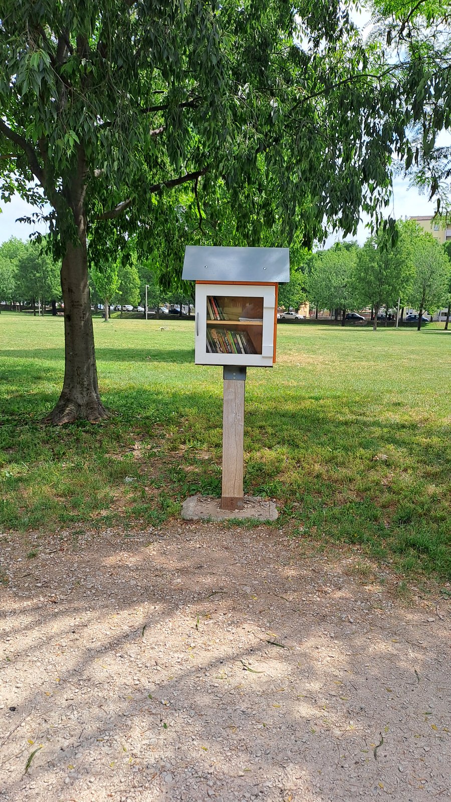 A small freestanding community book exchange box stands on a wooden post in a grassy park under a leafy tree. It has a simple white-and-orange cabinet with a glass front showing books inside and a sloped gray roof.