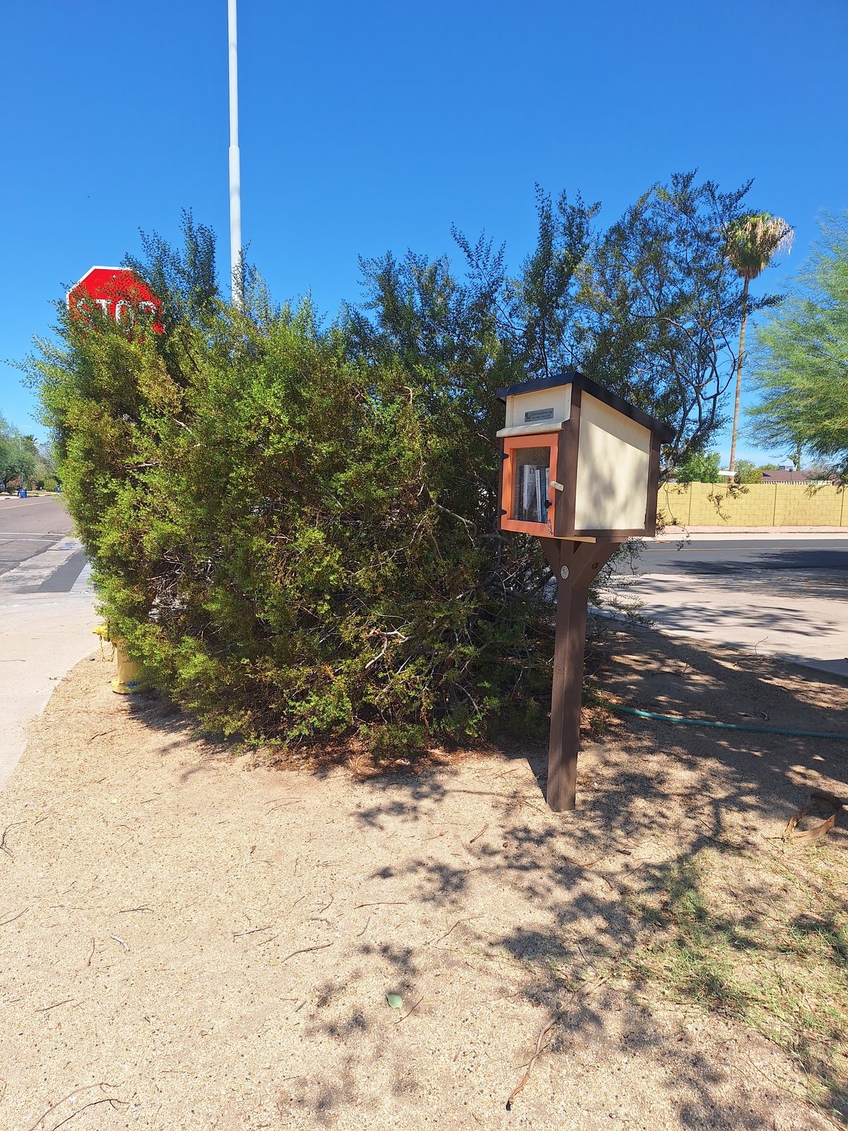 A small wooden book exchange box on a post stands beside a sidewalk in a sunny desert neighborhood. It has a cream-colored body with dark trim and an orange front, with dense shrubs, a street, and a stop sign visible behind it.