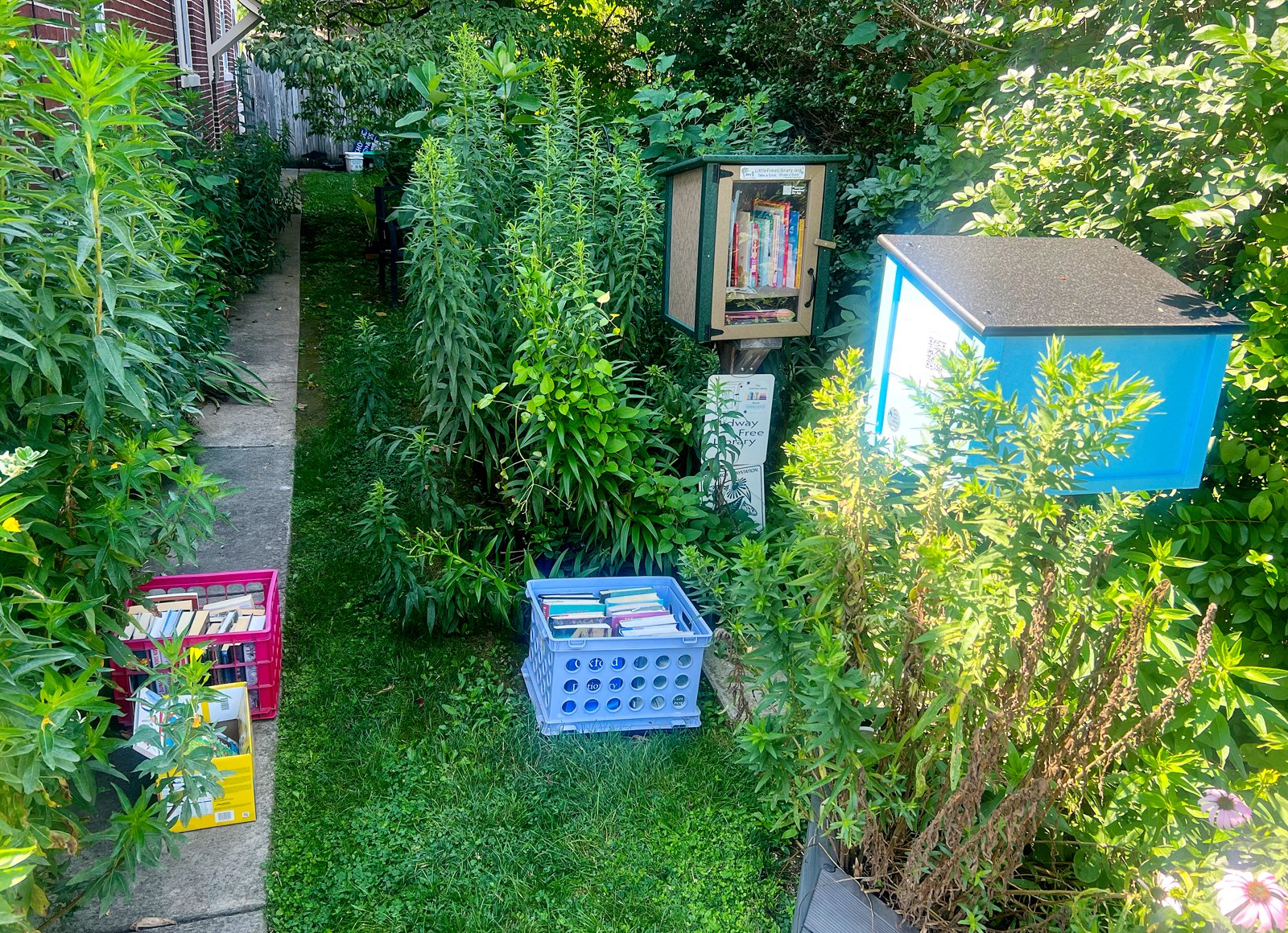 Two little library boxes and side yard gardens.