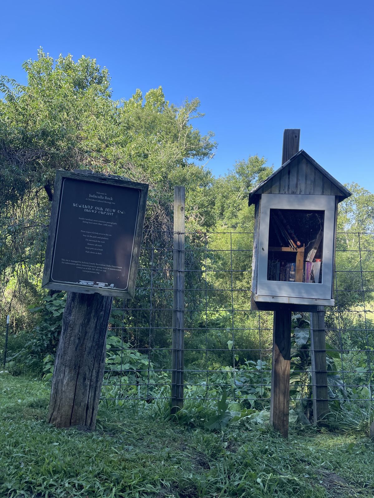 A small house-shaped free book exchange box stands on wooden posts beside a fenced, leafy roadside area. It has a dark roof, a clear front window showing books inside, and sits next to an informational sign under a bright blue sky.