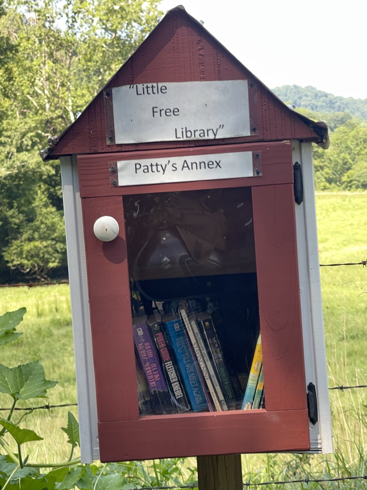 A small maroon-and-white Little Free Library box with a peaked roof and a clear front window, mounted on a post in a grassy rural setting. The sign reads “Little Free Library” and “Patty’s Annex,” and several books are visible inside.