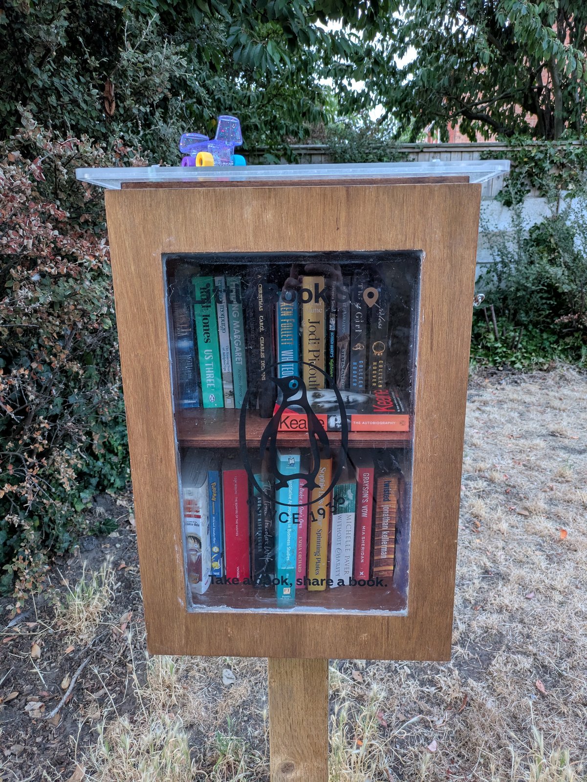 A small wooden community book exchange box stands on a post in a leafy park setting. It has a clear front door showing shelves of books inside and a flat plastic roof, with a simple ‘take a book, share a book’ style design.
