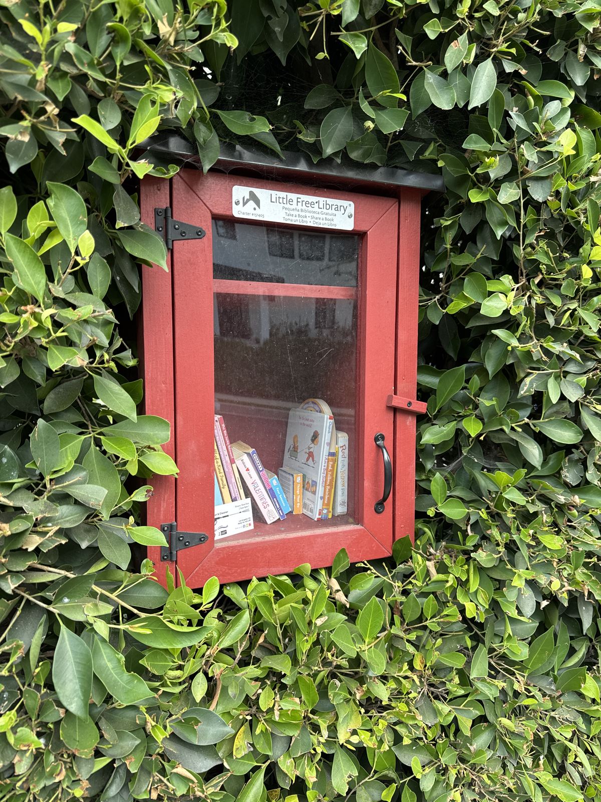 Little Free Library Charter #151405
