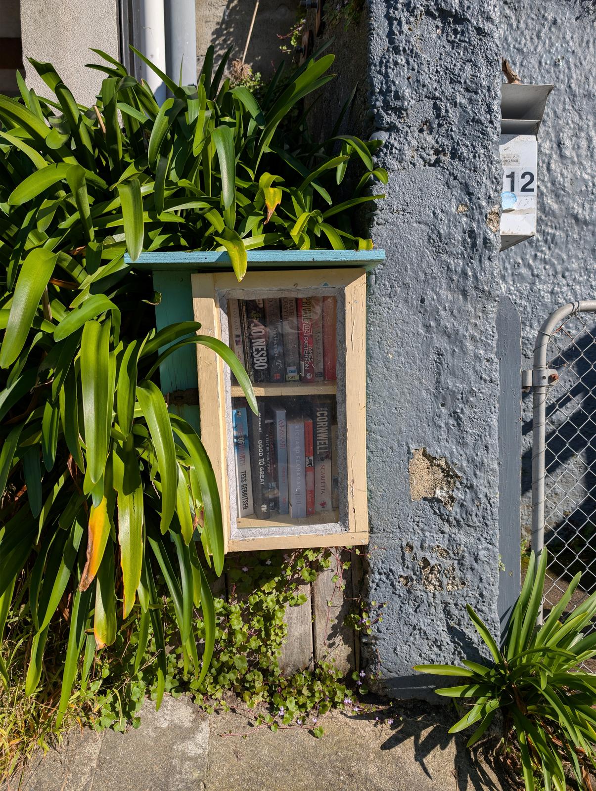 A small, weathered wooden book exchange with a glass front and turquoise trim is tucked among lush strap-leaf plants beside a textured blue-gray wall. Books are visible through the front, with a house number and chain-link gate nearby.