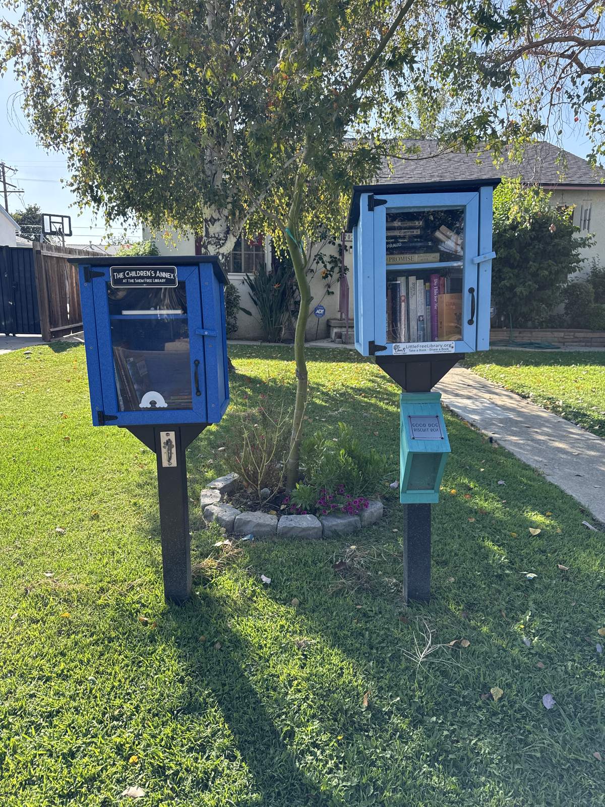 Little Free Library Charter #115861