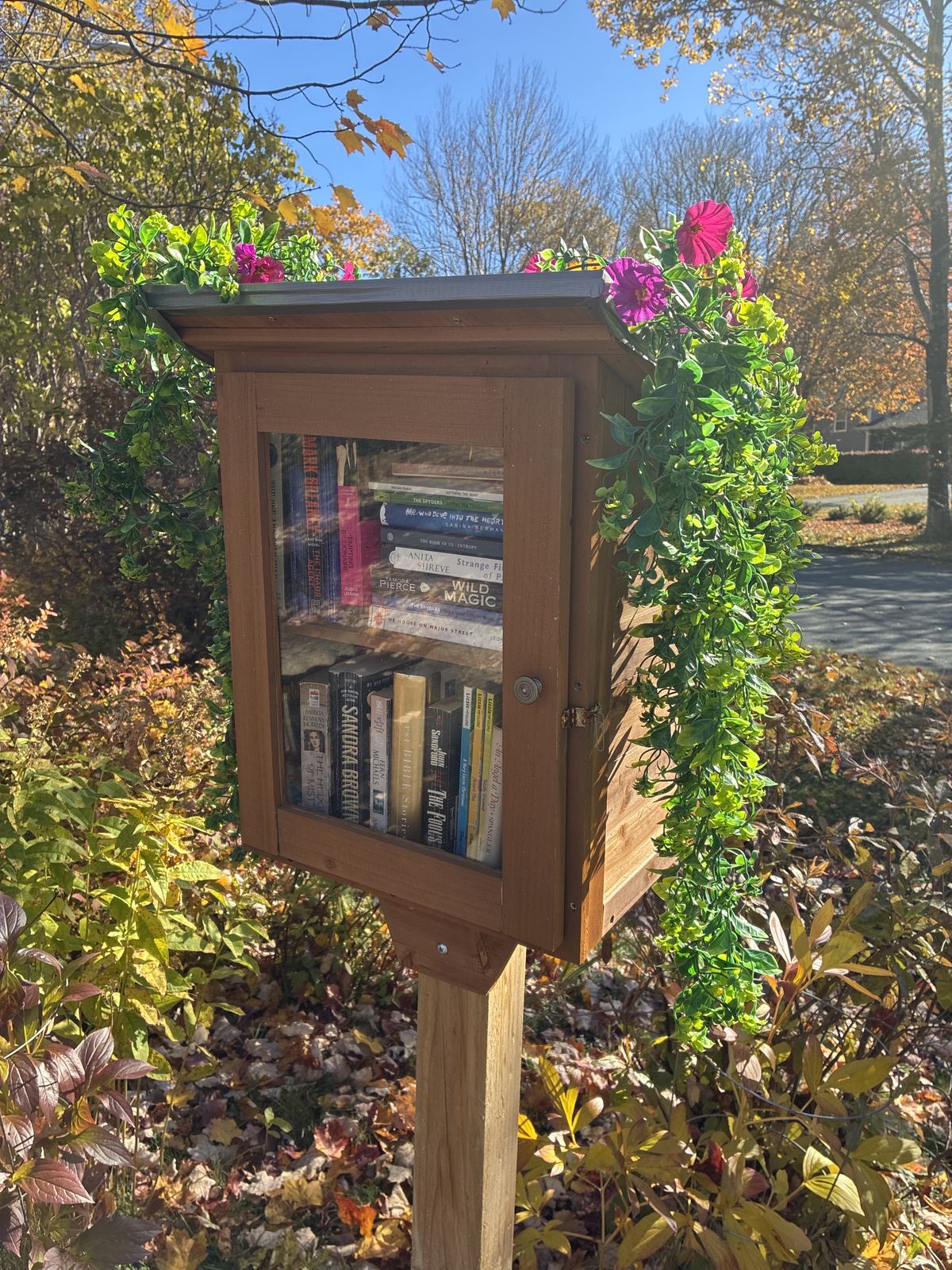 Little Library for everyone to use!