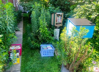 Two little library boxes and side yard gardens.